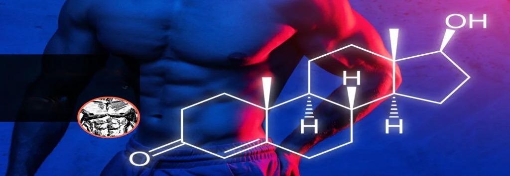 Imagem sobre GHDROL vs Pré-Treino